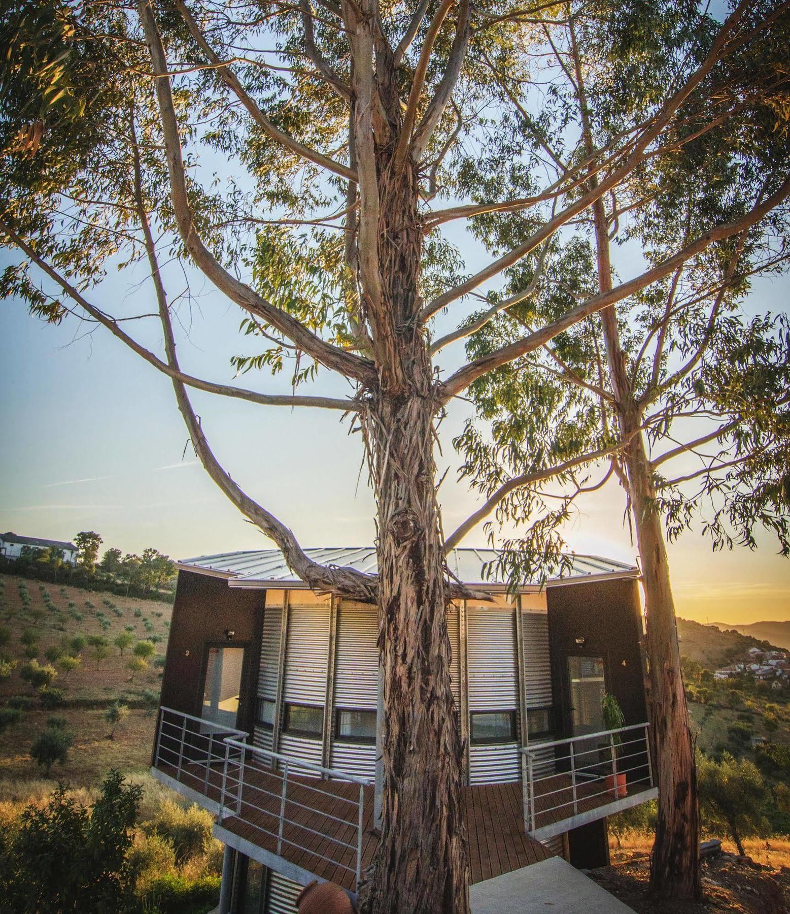 Villa Bela Vista Silo Housing Alfândega da Fé Esterno foto